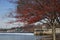 View of the Fairmont Water Works and boathouse row from the pedestrian walkway.