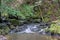 View of the Fairy Glen Waterfalls