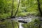 View of the Fairy Glen Waterfalls river