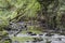 View of the Fairy Glen Waterfalls river