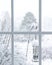View of Fallen Snow on Plants and Trees through Window Pane