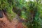 View of the famous Kalalau trail along Na Pali coast of the island of Kauai
