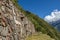 View of the famous llama terraces with white stone llamas in Choquequirao archeological site ruins, Peru