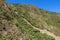 View of the famous llama terraces with white stone llamas in Choquequirao archeological site ruins, Peru