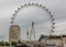 View of the famous London ferris wheel called the London Eye, on a cloudy summer day. UK