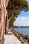 View of the famous promenade on Lake Garda between the towns Lazise and Bardolino