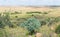 View of a farm near Bloemfontein