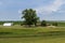 View of a farm in a rural area of the State of Mississippi, near the Mississippi river