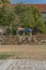 View of farmhouse, with horses a pasture, trees and vegetation average and classic traditional portuguese building as background