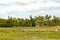 View of a farmland by the pond