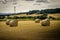 View of farmland with rolls of harvest on cloudy day