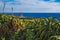 View of Farol da Ponta da Ferraria lighthouse from Miradouro da Ilha Sabrina, Sao Miguel Island, Azores, Portugal