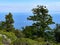 The view of ferry from Fengari Peak in Samothrace