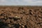 View of fertile ground surface on sunny , closeup