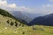 View into the fertile valley of Theth in Albania