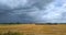 View of the field after harvesting. Dark sky before the rain over the field