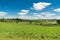 View of a field in Illinois country side