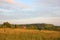 View of the field, there is one abandoned wooden house