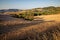 View of the fields near Tavullia at morning after the sunrise, Marche, Italy