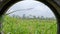 View of fields on the slopes of Mount Merapi, tropical areas with sufficient heat and cool air temperatures