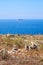 The view of Filfla islet with the part of Qrendi coast on the foreground. Malta