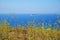 The view of Filfla islet with the part of Qrendi coast on the foreground. Malta