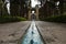 View of the Fin Garden or Fin Bagh near the persian city of Kashan. Water is one of the key elements in the persian gardens. Iran.