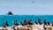 View of a flock of cormorant birds on a rocky cliff