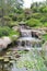 View of floral art, flowers and vegetation of different ecosystems in Jardines de Mexico