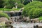 View of floral art, flowers and vegetation of different ecosystems in Jardines de Mexico