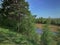 View of the flow of the ob river from the hill in the park through a young birch grove. Spring