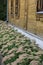 View of a flowerbed with flowers of ochitok sedum near a wooden house (Tikhvin Monastery, Russia, Chuvash Republic