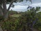 View of flowers in famous Tropical Botanical Gardens in Funchal town, Jardim Botanico da Madeira was opened to the