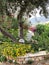 View of flowery stone house garden, Kalkan, Kas, Antalya