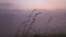 View of foggy sunrise on the Little Adam\'s Peak in Ella. Ella is a beautiful small sleepy town on the southern edge of Sri