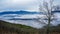 A View of Foggy View of Montvale Valley, Mountains and a Tree