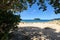 A view through foliage of Hauturu island from whangamata beach on the north island of new Zealand 6