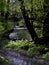 A view of a foot bridge at Alsea Falls