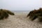 View on a foot path through the dunes at the northern sea island juist germany