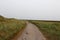 View on a footpath between dunes at the northern sea island juist germany