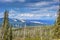 View of forest fire damage and recovery from roadside stop in Yellowstone