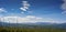 View of forest fire damage and recovery from roadside stop in Yellowstone