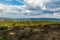 View from forest glade bellow Travny hill in Moravskoslezske Beskydy mountains in Czech republic