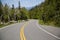 View of forest, mountains, road from Whiteface Mountain in the State New York  USA