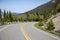 View of forest, mountains, road from Whiteface Mountain in the State New York  USA