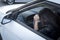 View form front window to a stressed or tired brunette girl in car lying on steering wheel. Female driver resting in