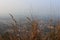 A view form hills down the city through the dried up grass. Virajpet from Karnataka.