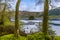 A view framed by trees out into Loch Lomond in Scotland