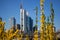 View of the Frankfurt skyline across the Main river in Frankfurt, Germany, urban cityscape