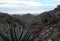 View from Franklin Mountains in El Paso, Texas